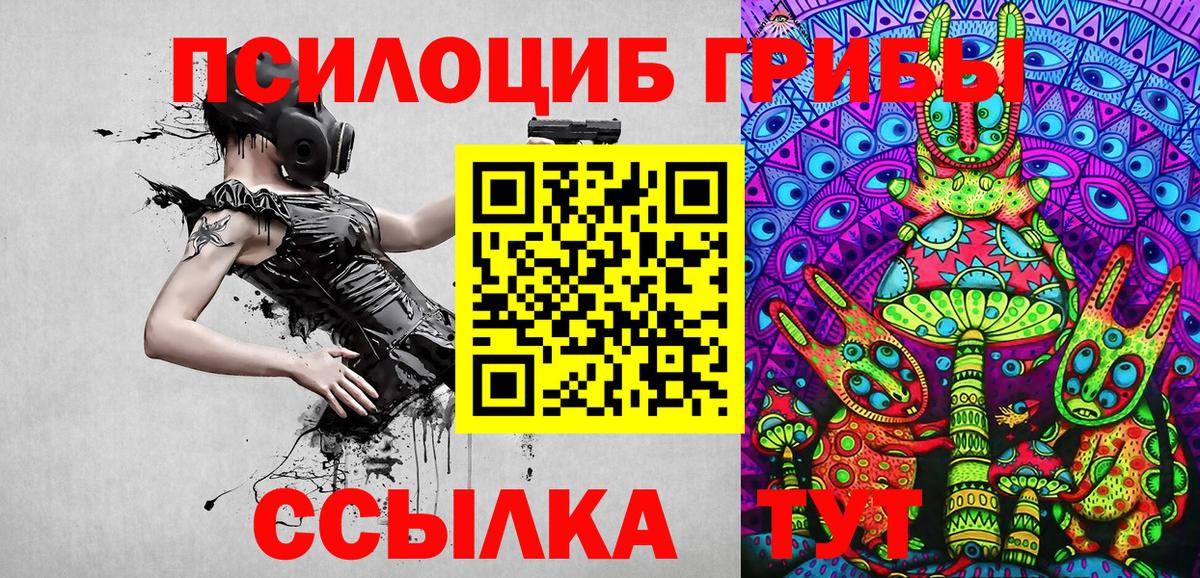 Галлюциногенные грибы Psilocybe  Вход с VPN  Барнаул 