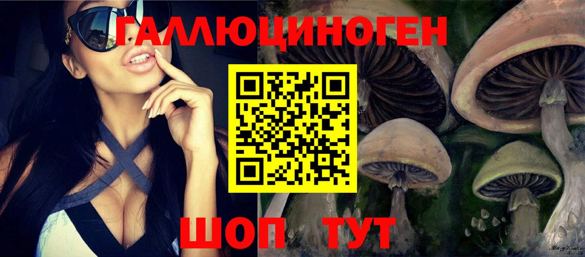 Галлюциногенные грибы Cubensis Барнаул